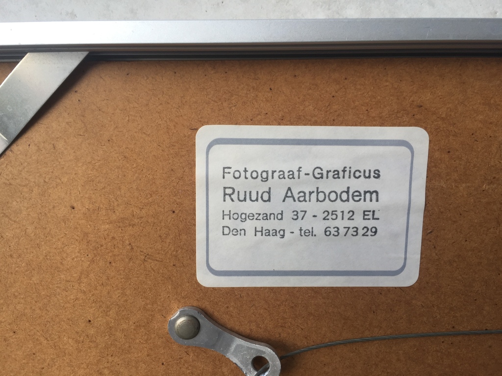 Ruud Aarbodem - Zeefdruk/foto met de hand ingekleurd (49 x 29 cm) 1/10 1985 kopen? Bied vanaf 1!