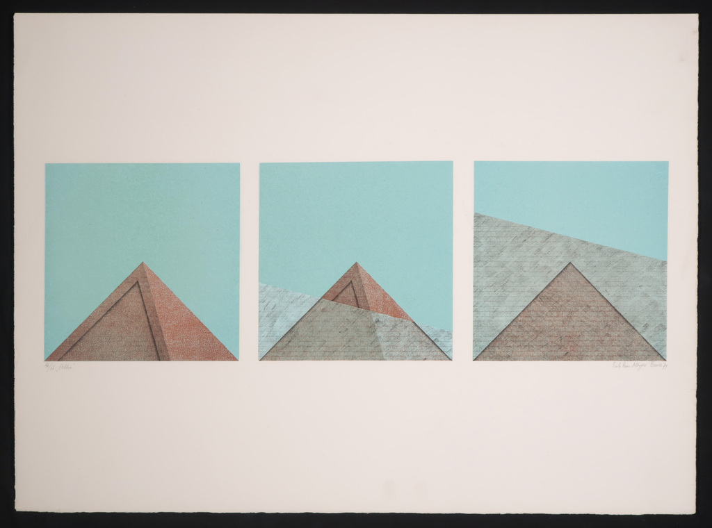 Erik Roos: Litho, Albigesi Firenze kopen? Bied vanaf 1!