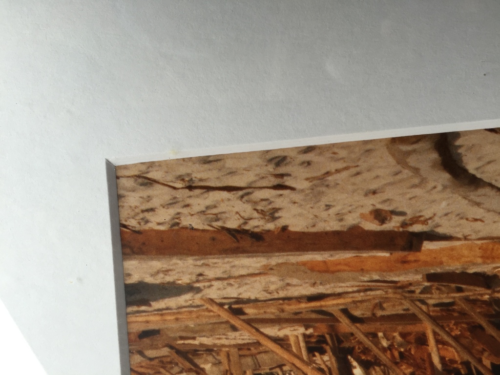 Nico Koster originele foto  Cuba met Corneille  kopen? Bied vanaf 1!