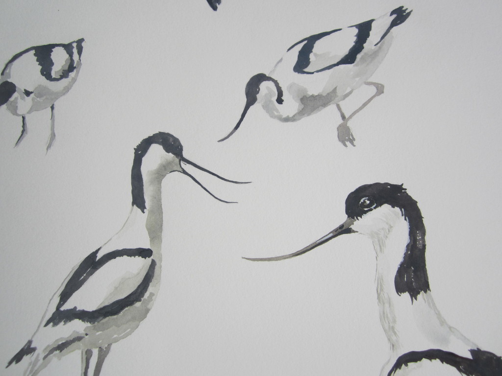 André Tigchelaar: Aquarel, Kluten kopen? Bied vanaf 1!