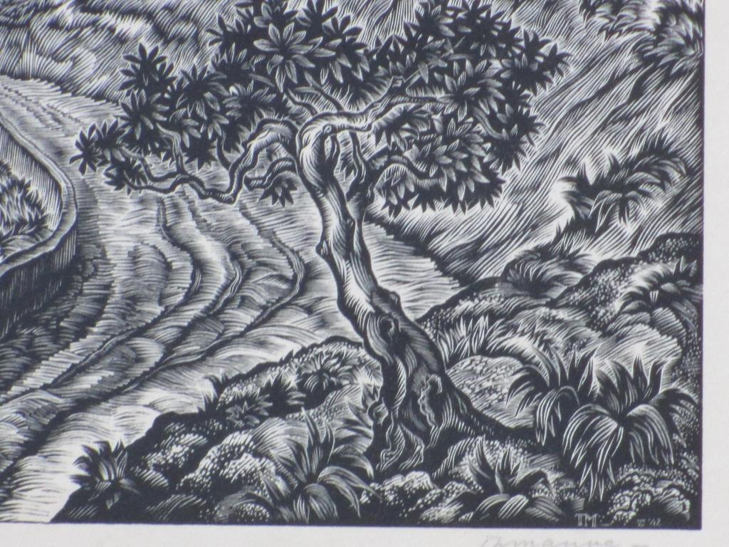 Thijs Mauve, Houtgravure, Gezicht op Florence kopen? Bied vanaf 45!