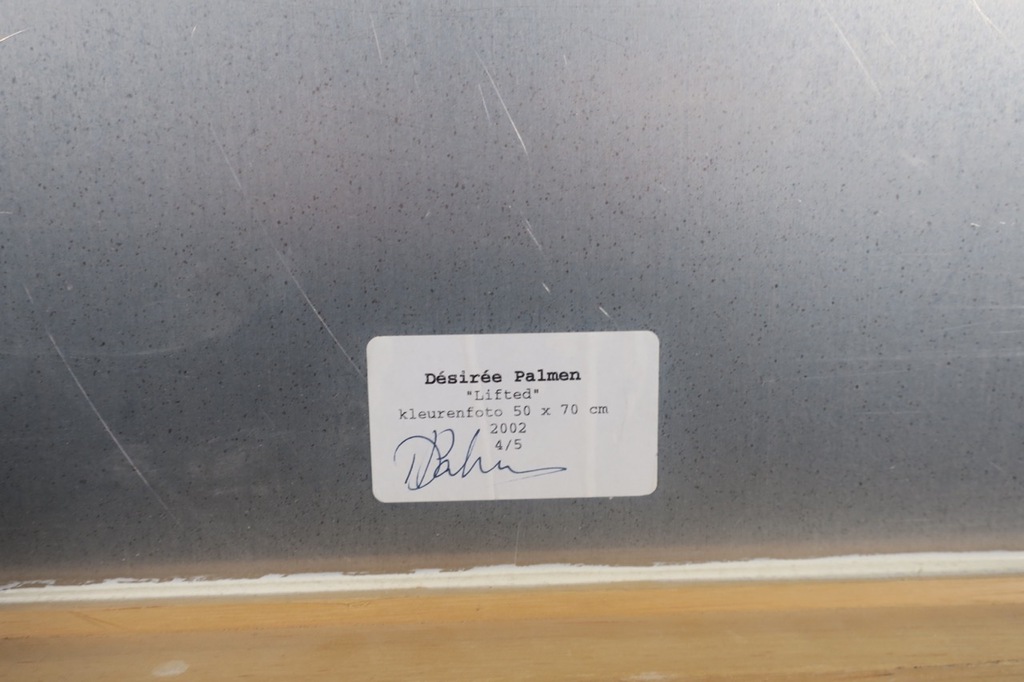 Desiree Palmen: Foto, Lifted - Ingelijst kopen? Bied vanaf 35!