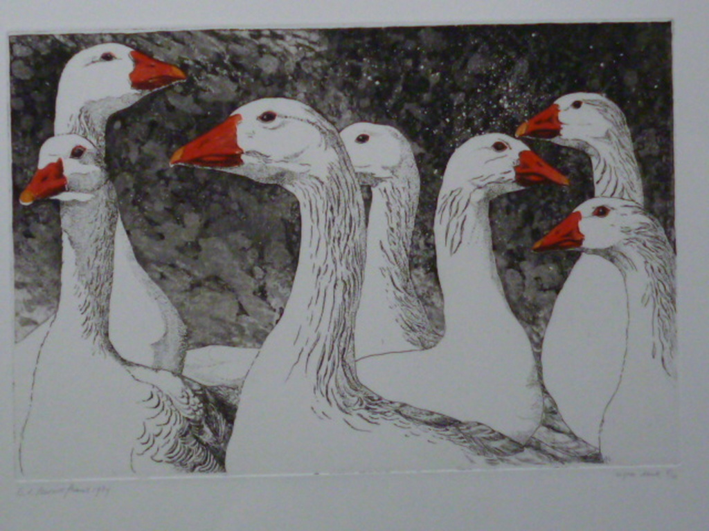 Erna van Mondfrans - kleurenets - Ganzen verkocht voor € 50!