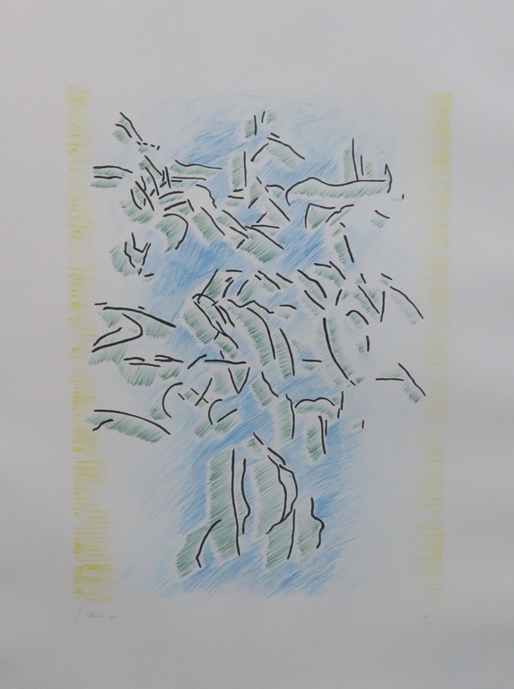 Jaap Hillenius: Litho, Z.T.  - Ingelijst kopen? Bied vanaf 20!
