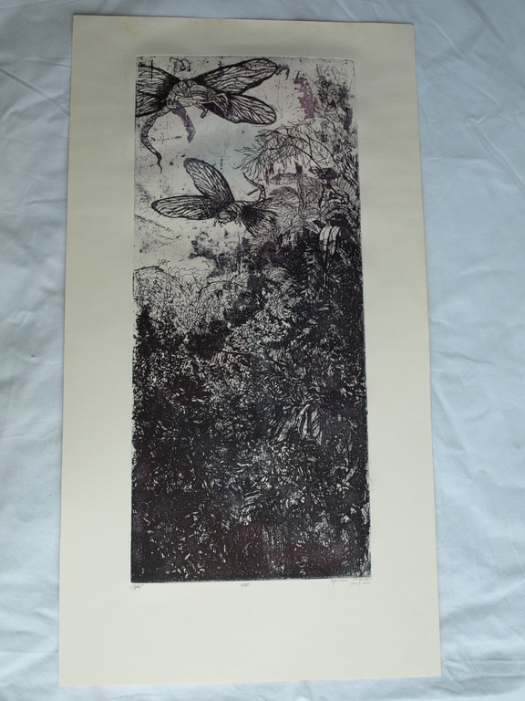 Onbekende kunstenaar : Ets – Titel: Ogdod – 2003/2004 – 49 x 21 cm  kopen? Bied vanaf 1!