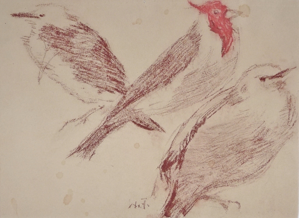 Willem de Zwart, Tekening, Vogels kopen? Bied vanaf 55!