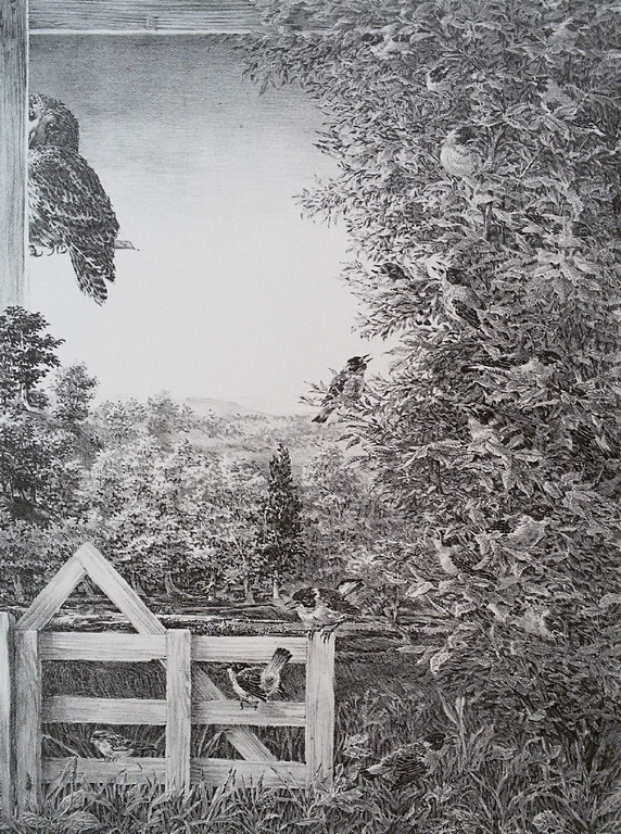 Peter Vos - Verte, litho verkocht voor € 300!