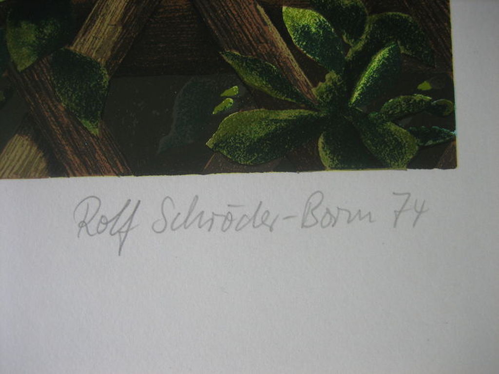 Rolf Schröder-Borm - Gebüsch - Lithografie - handgesigneerd - Oplage: 500 - 1974 kopen? Bied vanaf 1!