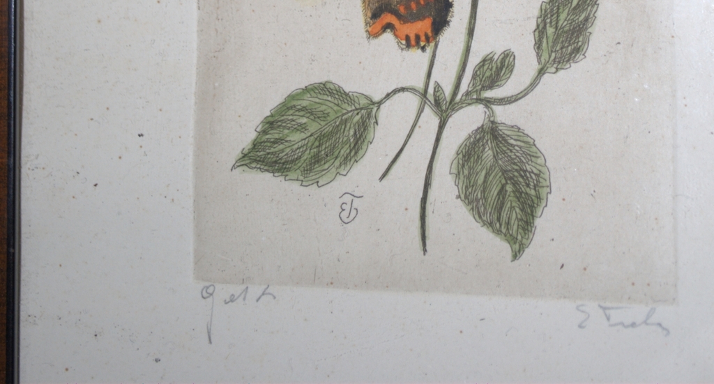 Vlinder en bloemen - gesigneerde kleurets kopen? Bied vanaf 25!