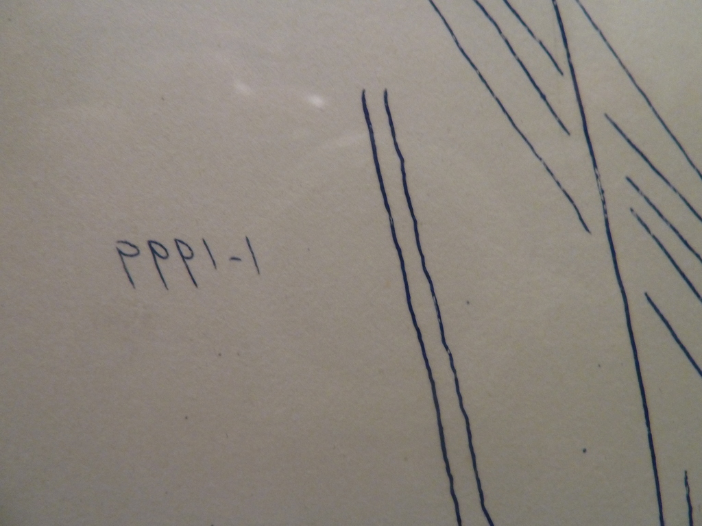 Jaap Hillenius : " Zonlicht " 1999 kopen? Bied vanaf 150!