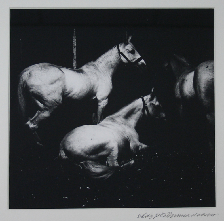 Eddy Posthuma de Boer, foto, Circus van Bever - serie (paarden) kopen? Bied vanaf 250!