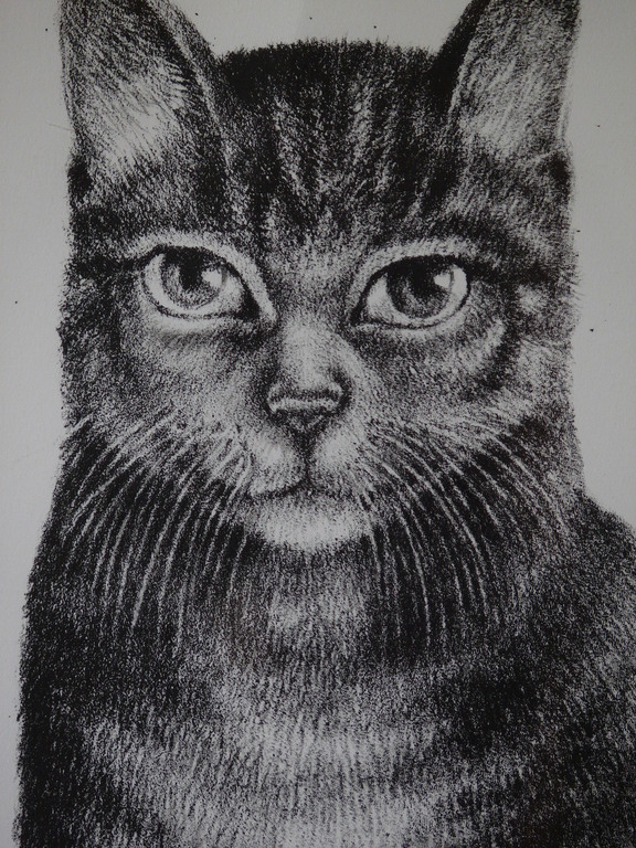 Riek Wesseling, lithografie, Bas kopen? Bied vanaf 175!