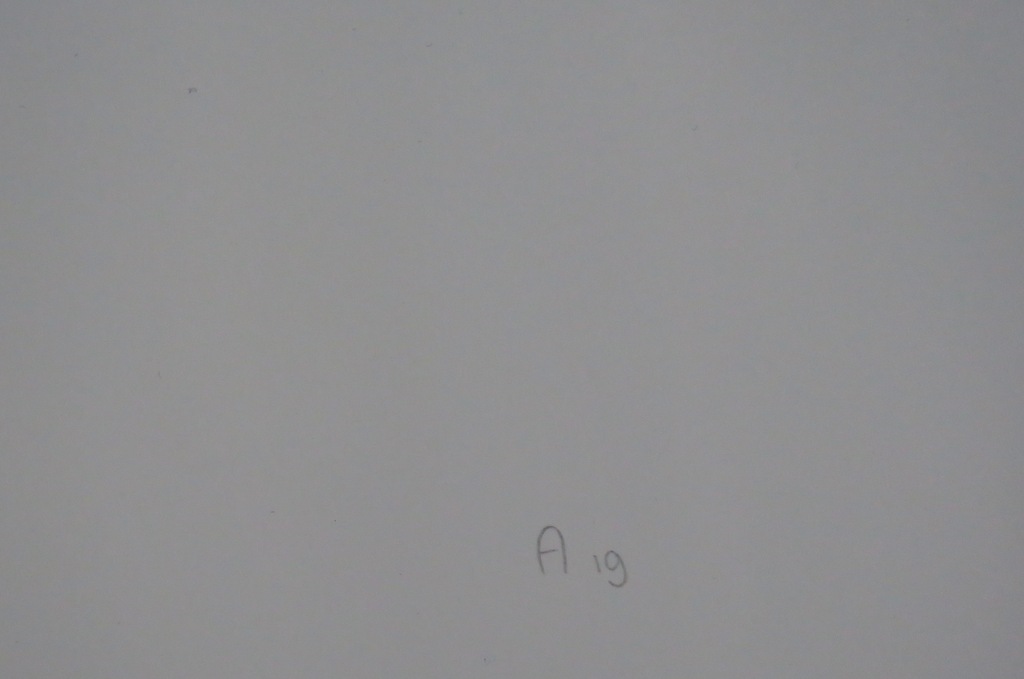 Koos van Tol: Zeefdruk, A19 kopen? Bied vanaf 1!