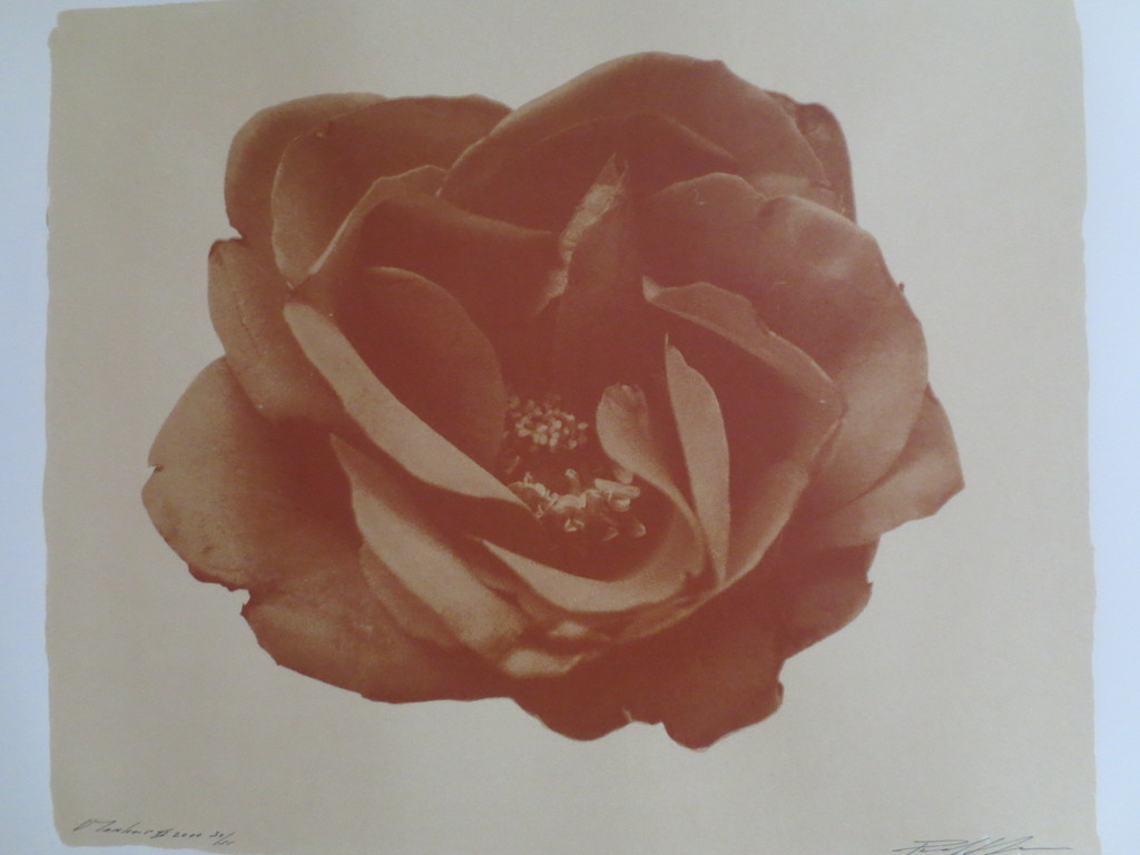 PAUL BLANCA  - gesigneerde kleuren  zeefdruk - MARLENE II verkocht voor € 60!