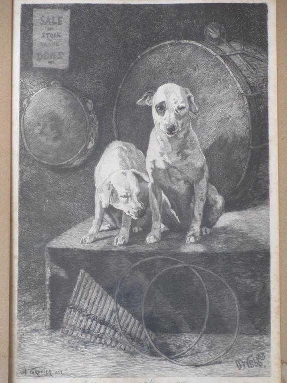 A.Gravier, Sale StockTrade Dogs, Ets 1883 verkocht voor € 60!