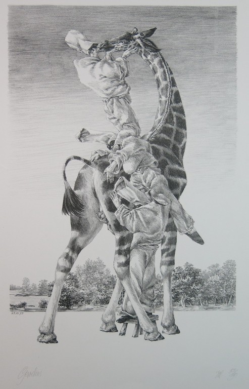 Peter Vos: Litho, Gevoelens kopen? Bied vanaf 100!