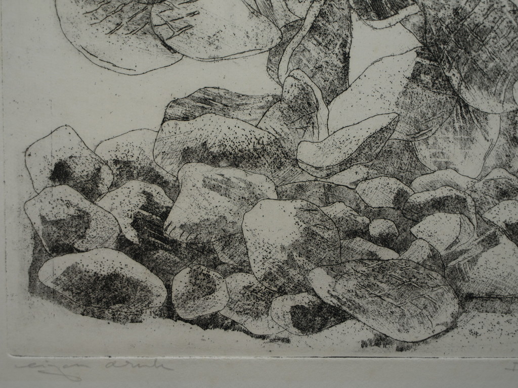 Walter Barten : Ets , De cactussen – gesigneerd – ca 1980 kopen? Bied vanaf 1!