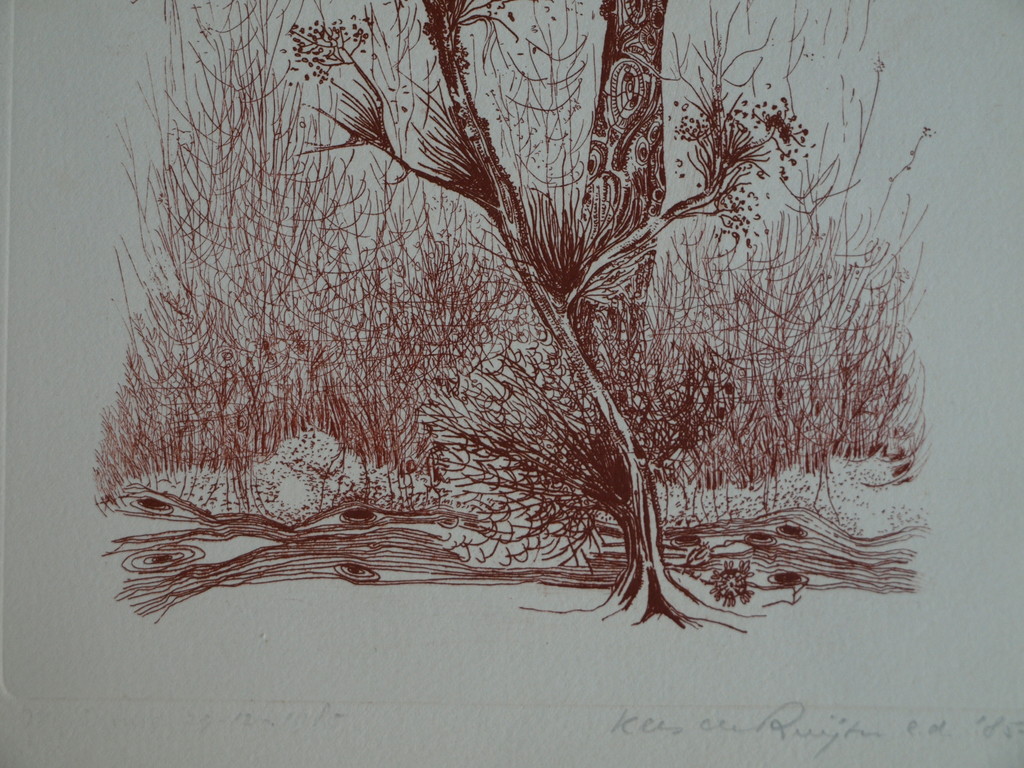 Kees de Ruijter : Ets , Bloeiende tak – gesigneerd - 1985 kopen? Bied vanaf 1!