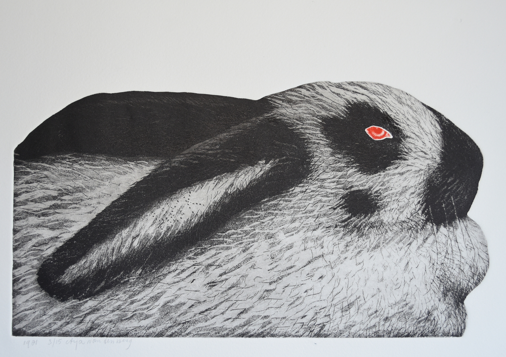 Arja van den Berg # KONIJN # ets, ingekleurd/gesigneerd, 1981, mint- verkocht voor € 70!