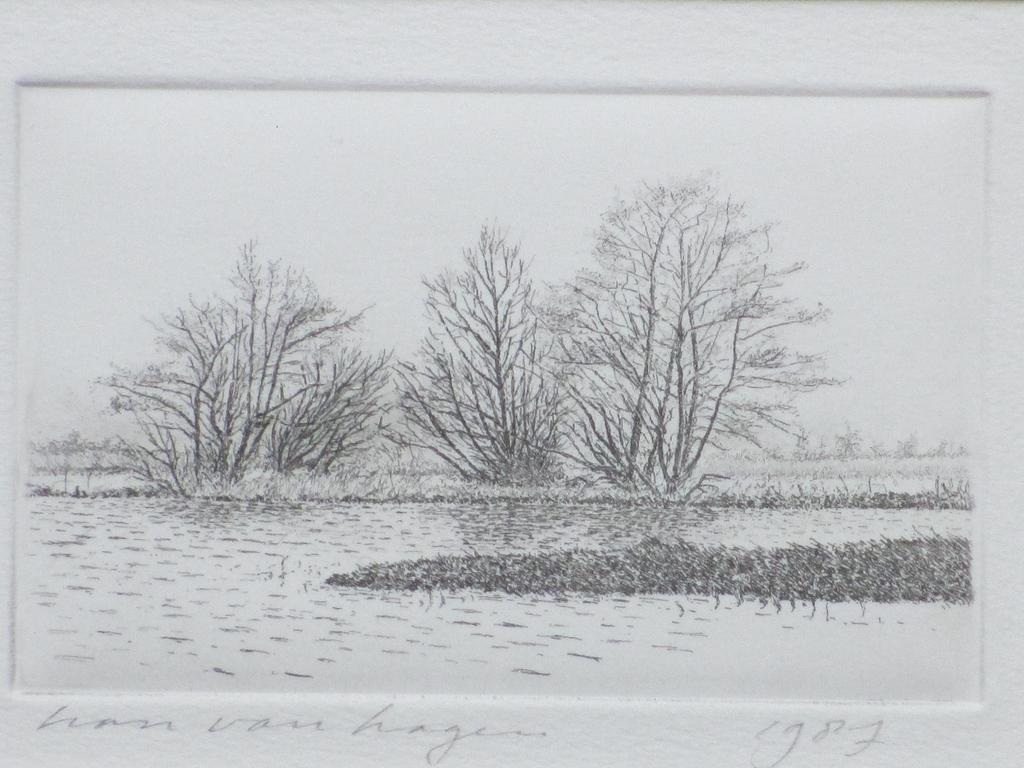 Han van Hagen, Waterrijk landschap, Ets 1987 kopen? Bied vanaf 35!