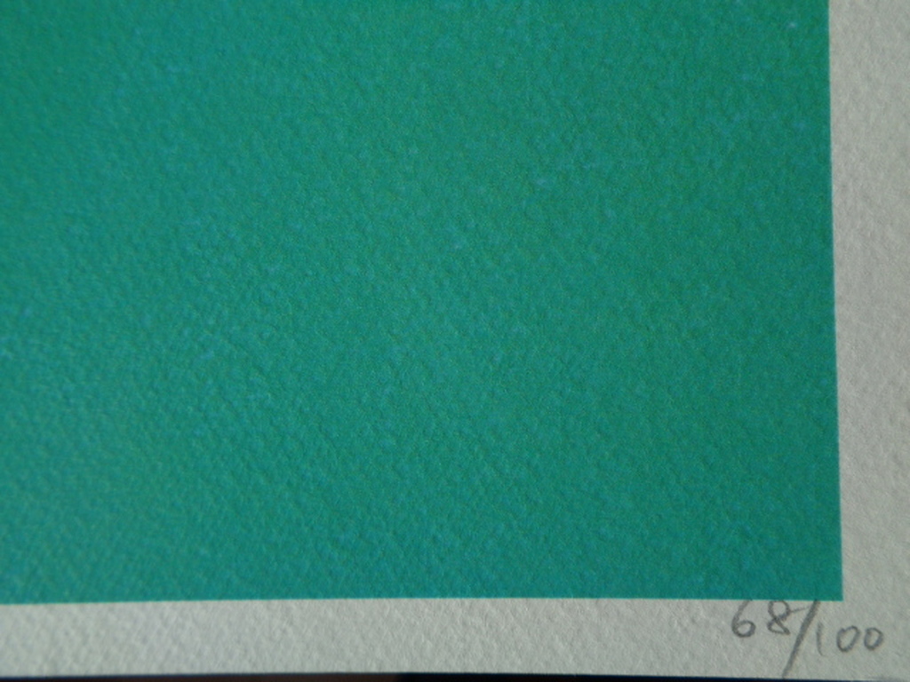 GROTE Fine Art Print, kopen? Bied vanaf 26!