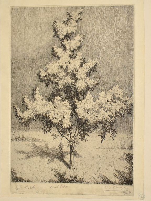 Ets Appelboom - Dick van Luyn kopen? Bied vanaf 1!