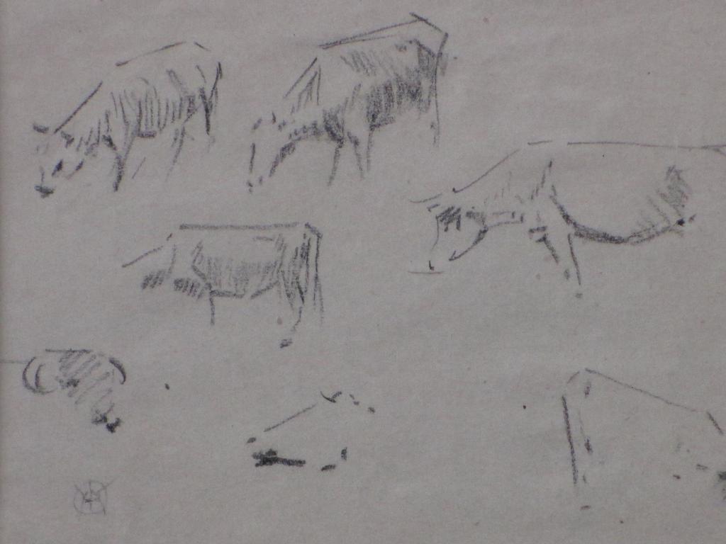 Gerrit Willem Dijsselhoff, Studie van runderen, Tekening kopen? Bied vanaf 1!