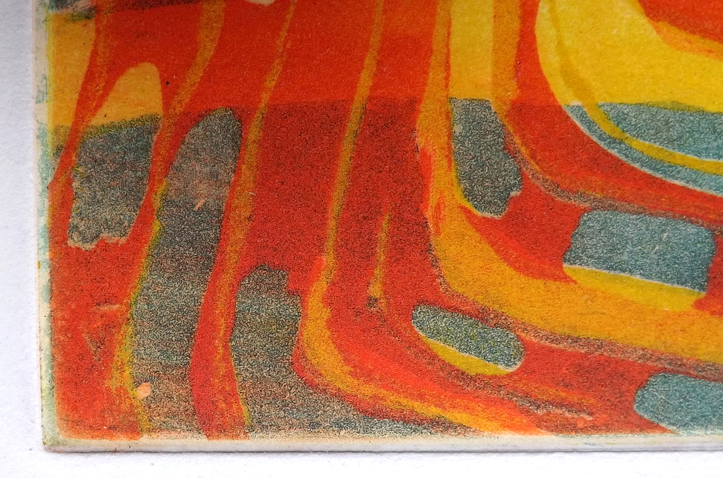 Haas Willibrord: kleurenets  kopen? Bied vanaf 1!