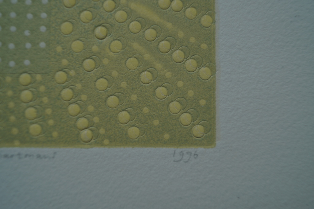 Suzanne Hartmans - gesigneerde ets met relief - 10 ex. kopen? Bied vanaf 1!