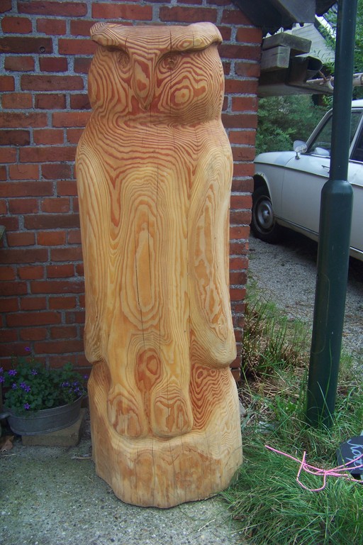 Grote Uil kopen? Bied vanaf 50!