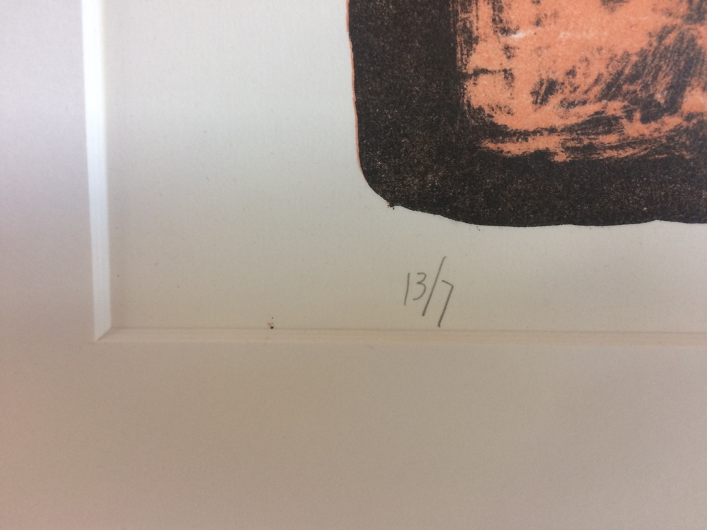 Niels de Hoog- Kleurenlitho -  Fiets - in passepartout kopen? Bied vanaf 20!