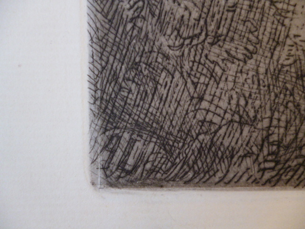 Alphonse Legros - ets - Bosgezicht kopen? Bied vanaf 20!