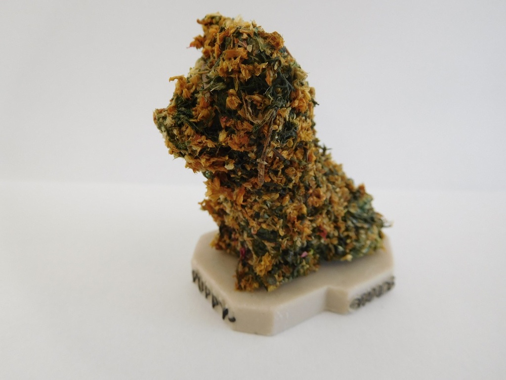 Jeff Koons, oranje Multiple "Puppy" 1992, Bilbao Guggenheim kopen? Bied vanaf 75!