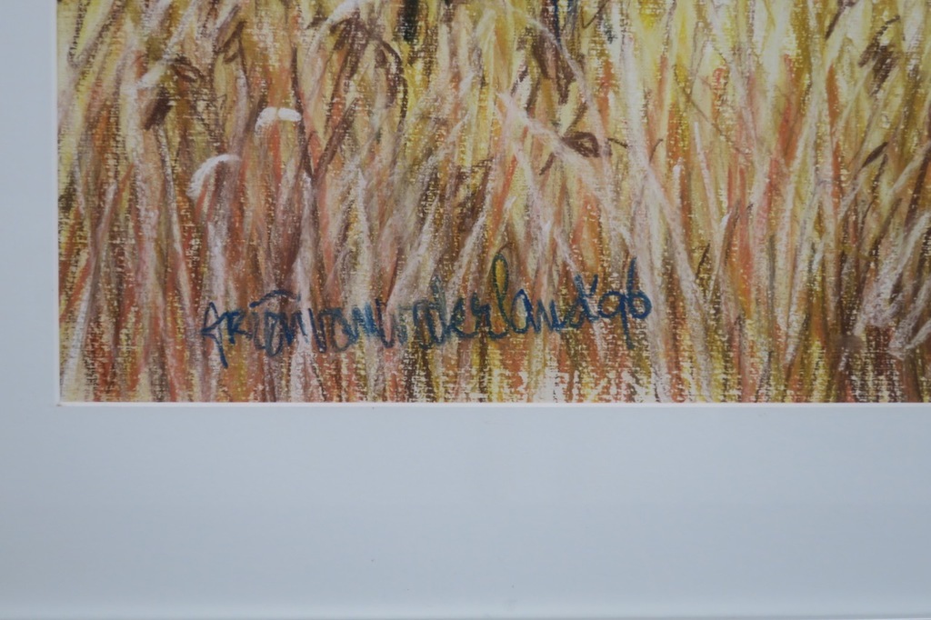 Arien van Waterland - Arien van Waterland: Krijttekening, Waterland I - Ingelijst kopen? Bied vanaf 1!