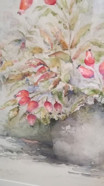 Jan Goselinck - aquarel - Rozenbottel kopen? Bied vanaf 55!