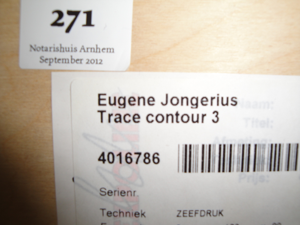 Eugene Jongerius  grote zeefdruk   132.0 x 0.97 ! kopen? Bied vanaf 200!