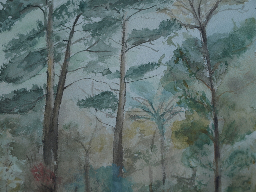 Onbekend : Aquarel, Bos – 1943 – gesigneerd en ingelijst kopen? Bied vanaf 1!