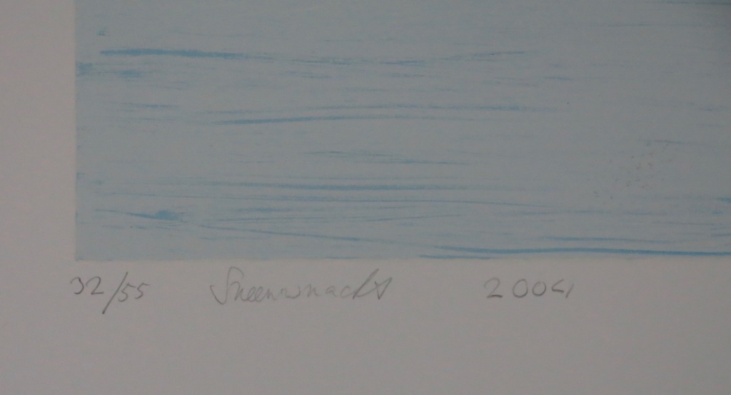 Hjalmar Riemersma: Zeefdruk, Sneeuwnacht kopen? Bied vanaf 35!