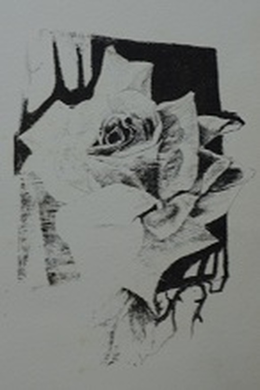 Peter Vos, litho bijdrage voor Stichting de Roos,diverse kunstenaars. kopen? Bied vanaf 25!