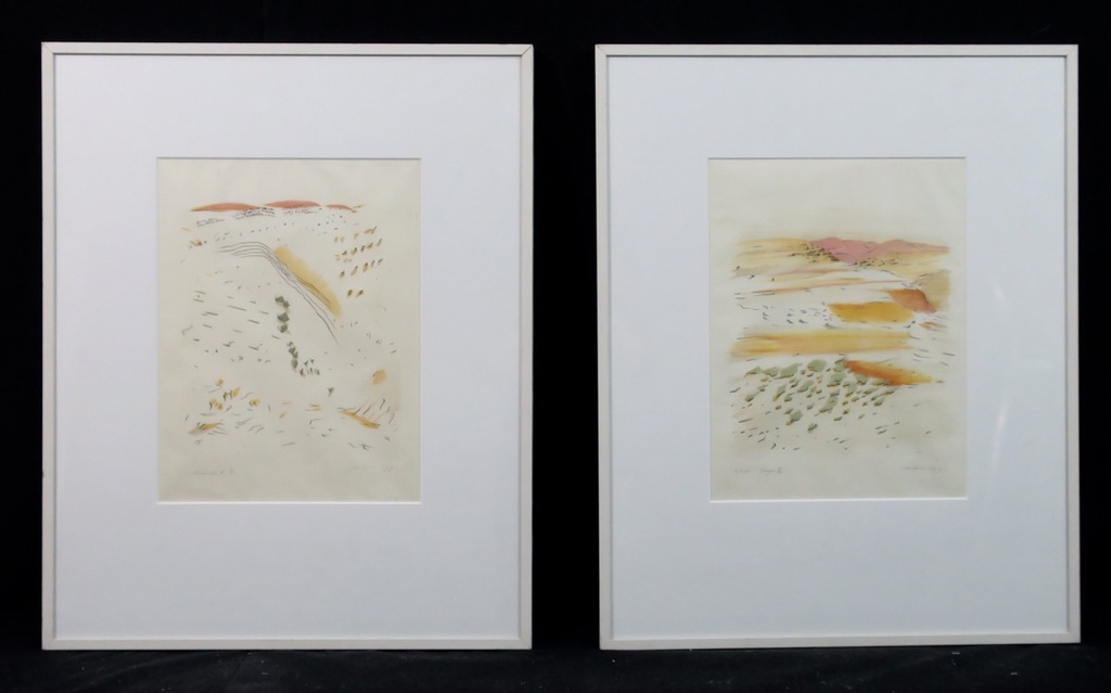 Jan Hein van Rooy: Litho 2 luik : Paisajo reencontrado - Ingelijst verkocht voor € 35!