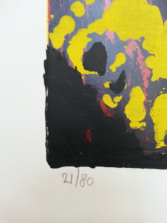 Roeland Hofman, zeefdruk op papier, titel:" colour delight " kopen? Bied vanaf 50!