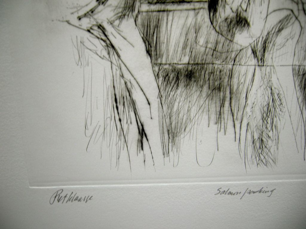 Piet Klaasse, droge naald: Salmon packing kopen? Bied vanaf 10!