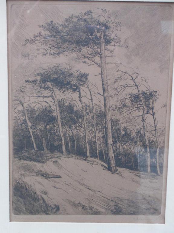 Arie Zonneveld, Zeedennen, Ets 1928 verkocht voor € 35!