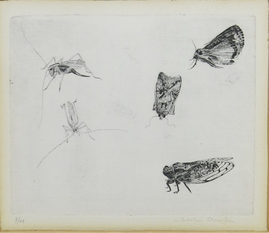 Charles Donker: Ets, Insecten verkocht voor € 100!