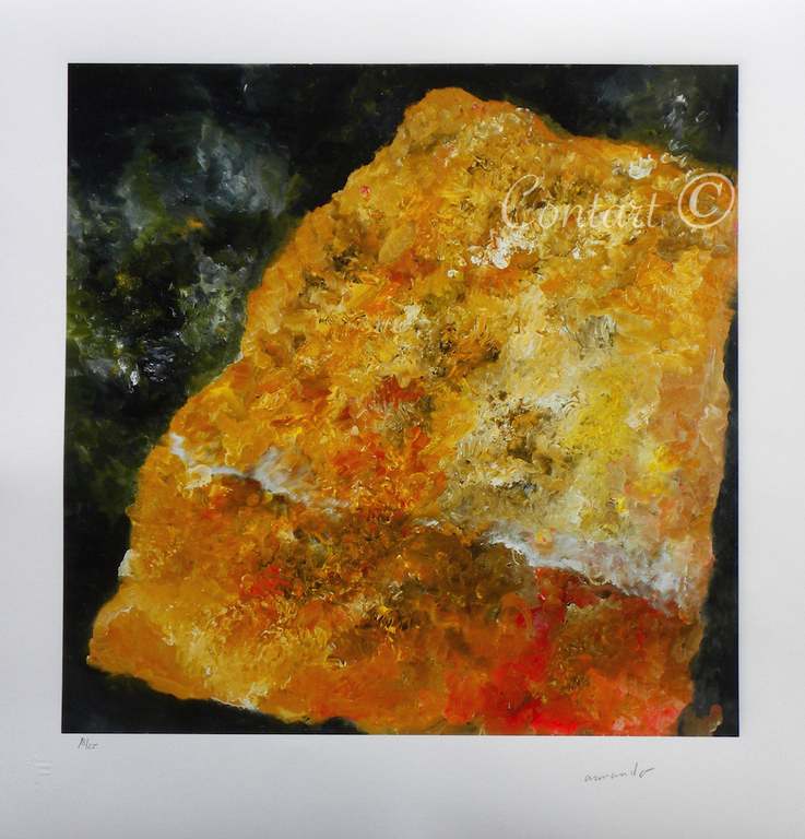 'Fundstück' - Giclee - Gesigneerd en Genummerd met de hand - 2015 verkocht voor € 175!