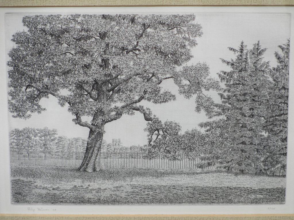 Philip Wiesman, Kastanjeboom in Engels landschap, Ets verkocht voor € 40!