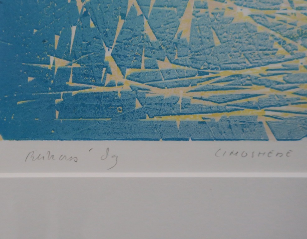 Reinderd Kuipers: Lino, Golven - Ingelijst kopen? Bied vanaf 20!