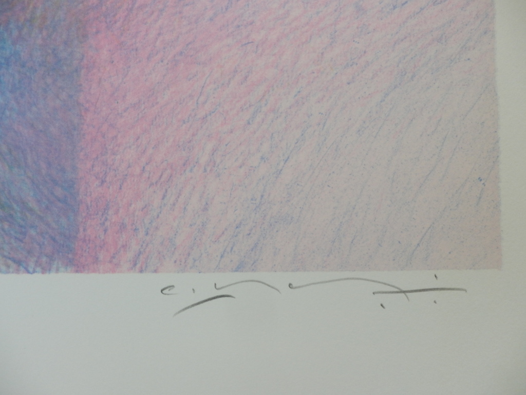 CLAUDE MANOUKIAN  Handgesigneerde Kleurenzeefdruk  LES FLEURS kopen? Bied vanaf 35!