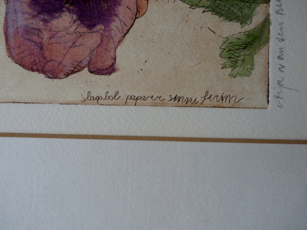 Arja van den Berg - ets: Papaver - 1984 kopen? Bied vanaf 45!