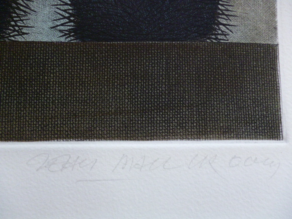 Jean Paul Vroom - ets - Twee vruchten met stekels kopen? Bied vanaf 25!